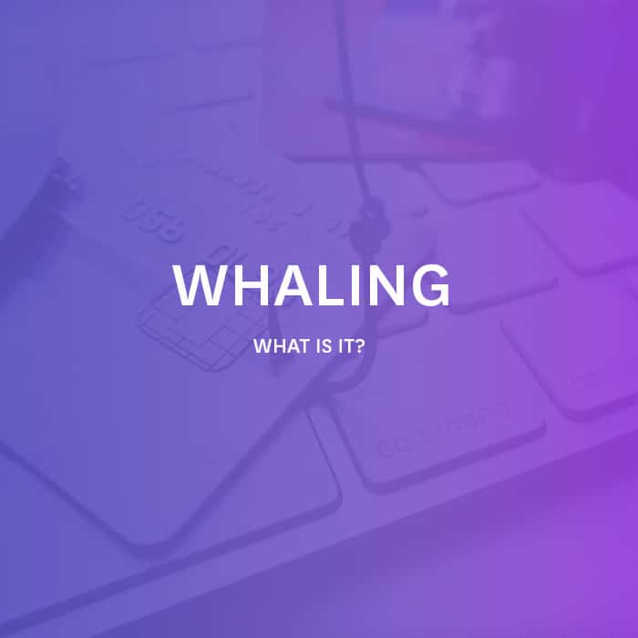 Whaling in cyber security