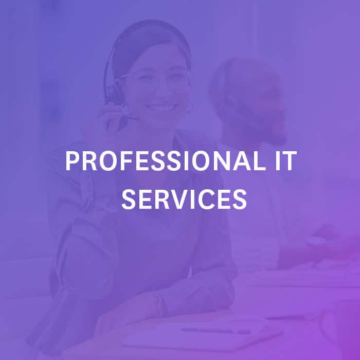 Professional IT Services